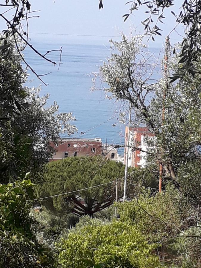 Tigullio Vacations Panoramica Apartments Lavagna Eksteriør bilde