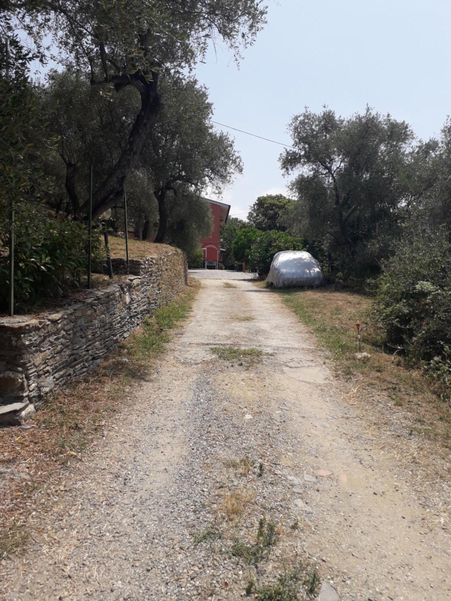 Tigullio Vacations Panoramica Apartments Lavagna Eksteriør bilde