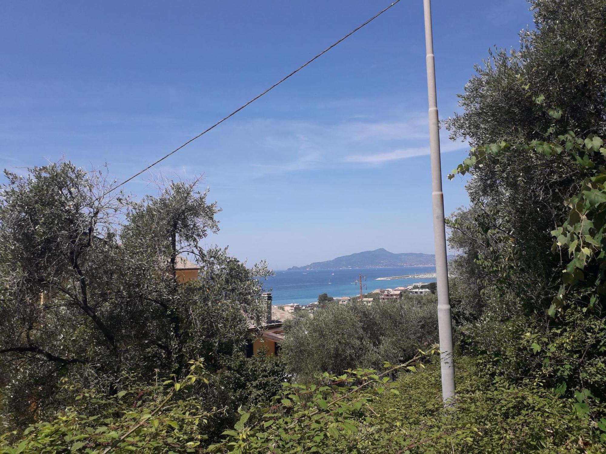 Tigullio Vacations Panoramica Apartments Lavagna Eksteriør bilde